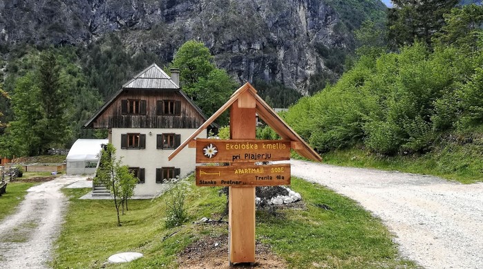Back to Nature: Eco-Friendly Farm Stays Worth Experiencing