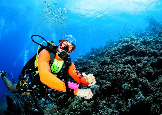Dive Deep: Tropical Diving Holidays Full of Colorful Wonders