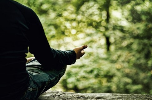 Inner Peace Awaits: Meditation Jungle Stays Surrounded by Nature